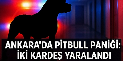 ANKARA’DA PİTBULL PANİĞİ: İKİ KARDEŞ AĞIR ŞEKİLDE YARALANDI