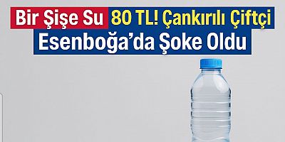 Bir Şişe Su 80 TL! Çankırılı Çiftçi Esenboğa’da Şoke Oldu