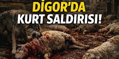 DİGOR’DA HAYVANCILARI DERİNDEN ÜZEN OLAY