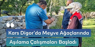Kars Digor’da Meyve Ağaçlarında Aşılama Çalışmaları Başladı