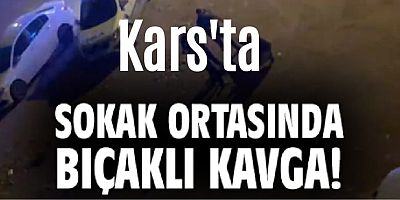 Kars'ta Faikbey Caddesi'nde B?akl? Kavga: 2 Yaral?