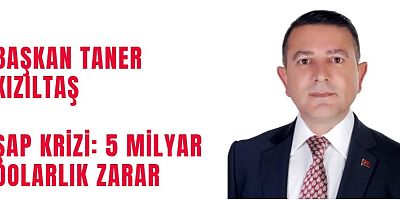 Şap Krizi: 5 Milyar Dolarlık Zarar
