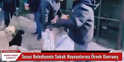 Susuz Belediye Başkanı Oğuz Yantemur'dan Sokak Hayvanlarına Örnek Davranış