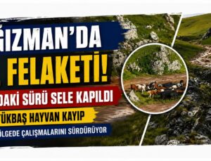 Kağızman’da Sel Felaketi: Yayladaki Sürü Sele Kapıldı, 4 Büyükbaş Hayvan Kayıp