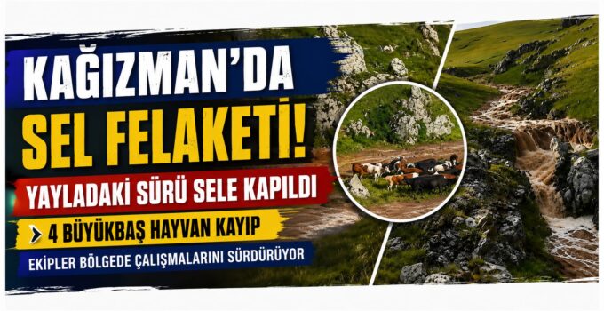 Kağızman’da Sel Felaketi: Yayladaki Sürü Sele Kapıldı, 4 Büyükbaş Hayvan Kayıp