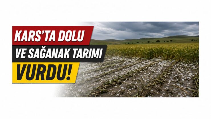 Kars’ta Dolu ve Sağanak Tarımı Vurdu: Ziraat Odalarından Hasar Tespiti ve Destek Çağrısı