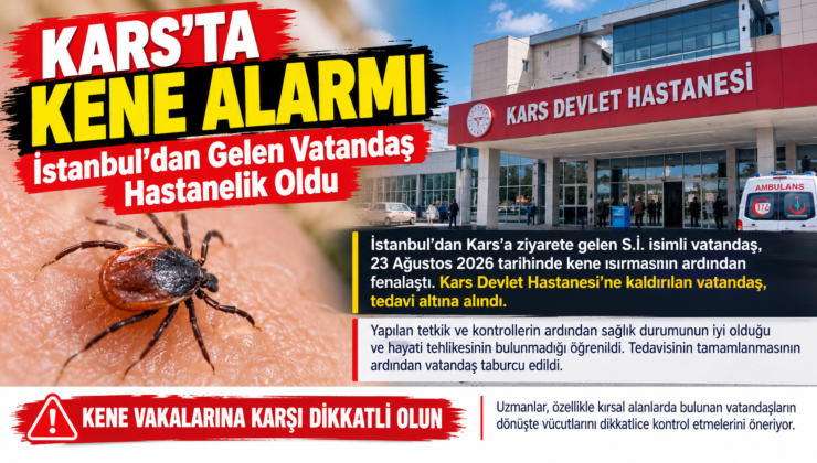 Kars’ta Kene Tehlikesi: İstanbul’dan Gelen Vatandaş Hastanelik Oldu